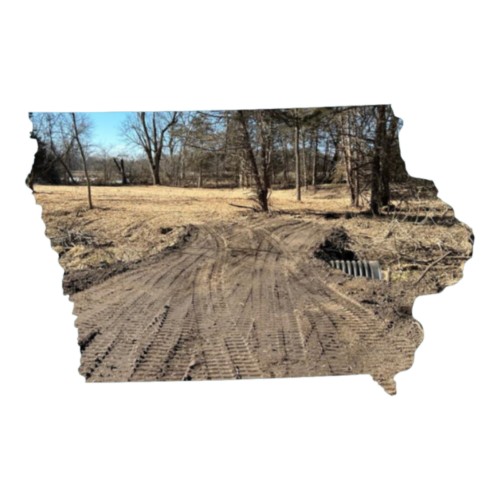 Land Clearing