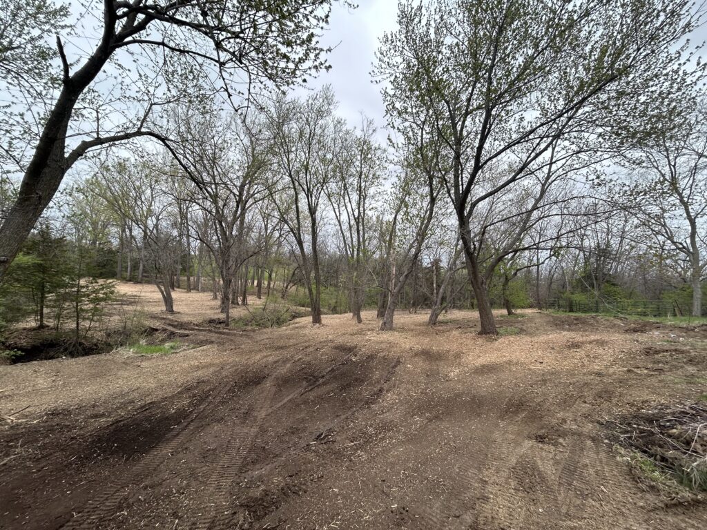 Forestry Mulching Services