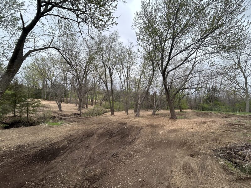 Forestry Mulching Services