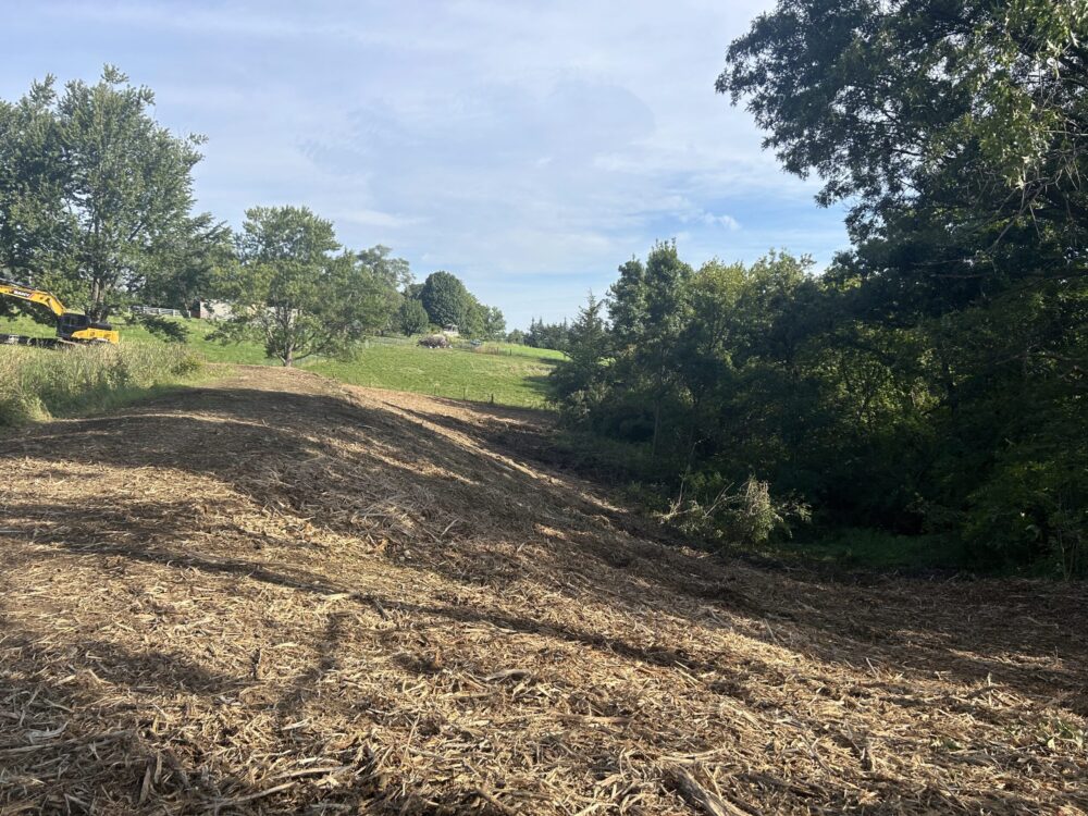 Forestry Mulching