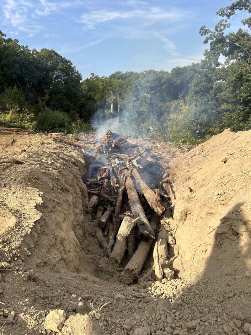 Forestry Mulching